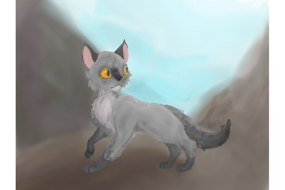 Jumpingtail – Favorite Tribe cat challenge