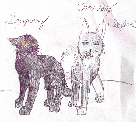 Kashawnda – Favorite Tribe cat challenge