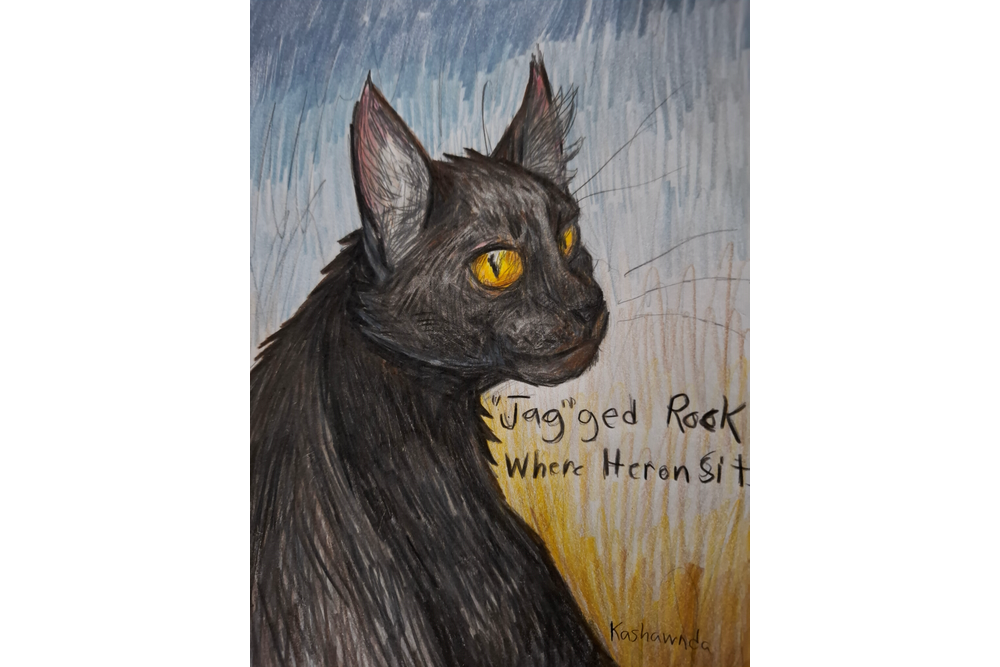 Kashawnda – Favorite Tribe cat challenge