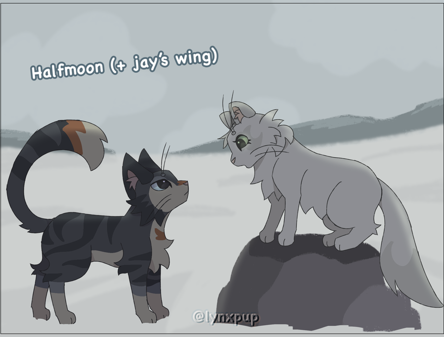 Jumpingtail – Favorite Tribe cat challenge