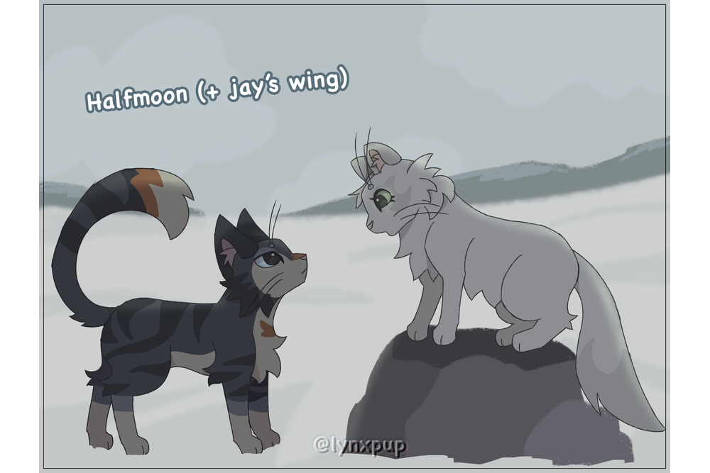 Lynxpup – Favorite Tribe cat challenge