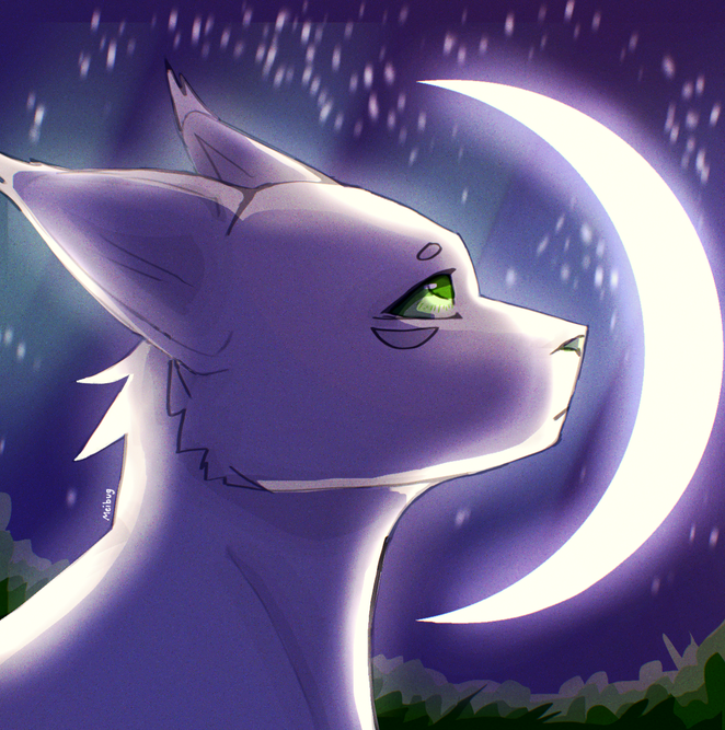 Lily – Favorite Tribe cat challenge