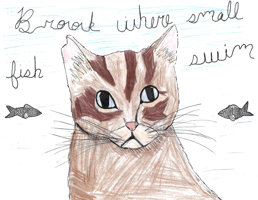 JAYFAN – Favorite Tribe cat challenge