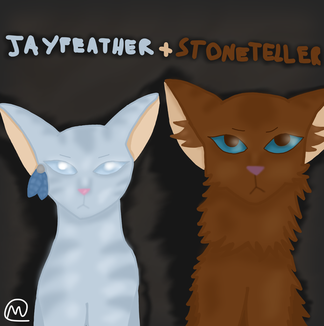 Lynxpup – Favorite Tribe cat challenge