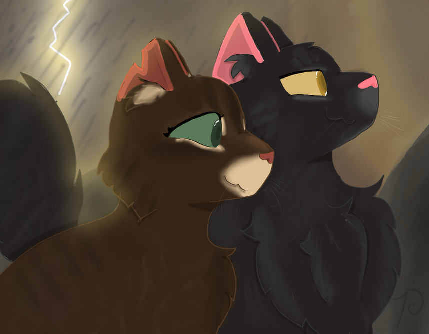 Reed Mist – Favorite Tribe cat challenge