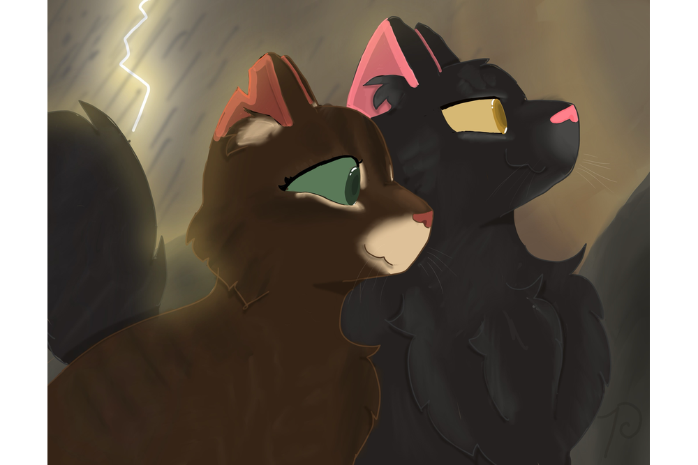 _-Pinecone-_ – Favorite Tribe cat challenge