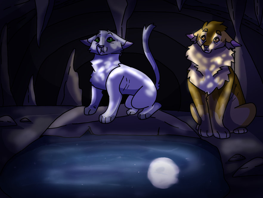 SugarMaple – Favorite Tribe cat challenge