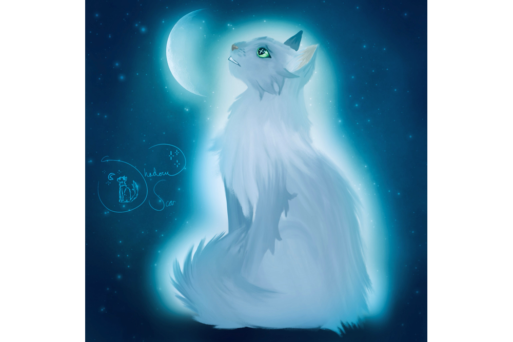 shadowscar