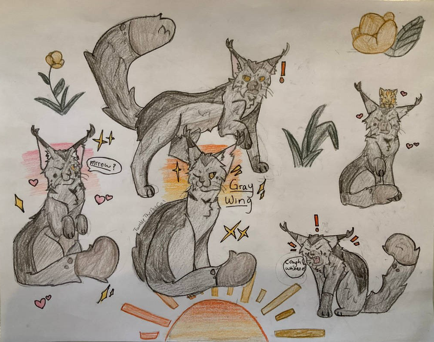 Sunflight – Favorite Tribe cat challenge