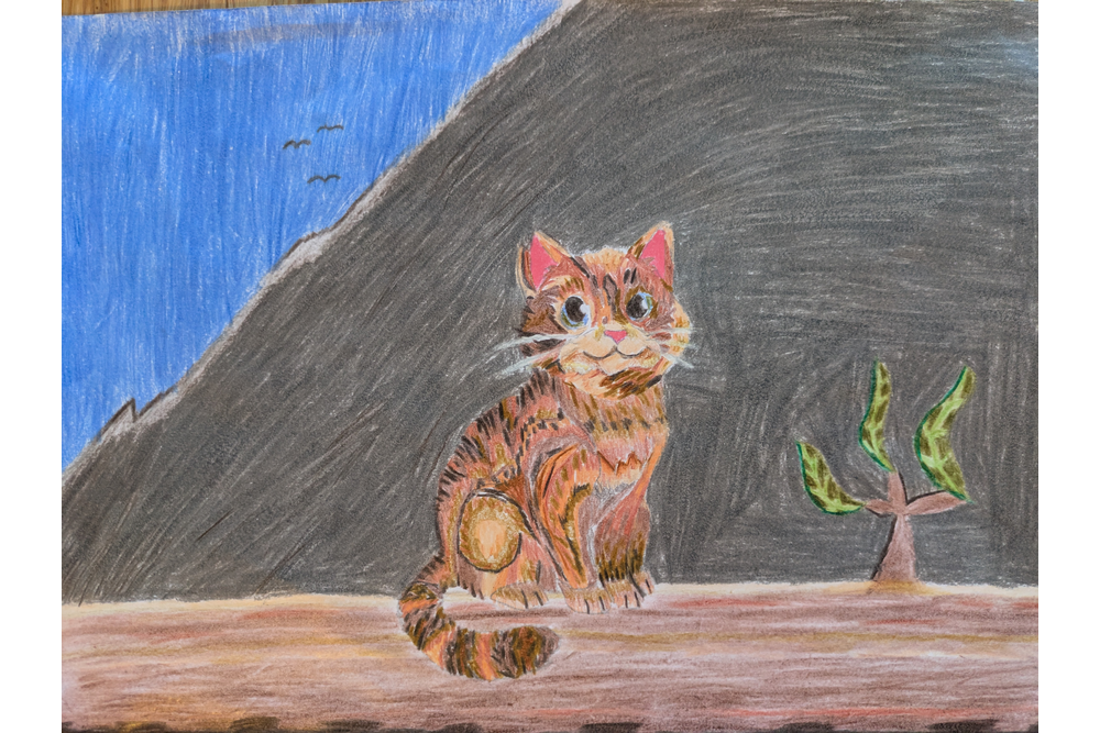 Zavier – Favorite Tribe cat challenge