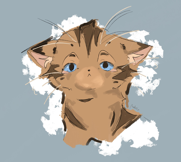 sundew – Favorite Tribe cat challenge
