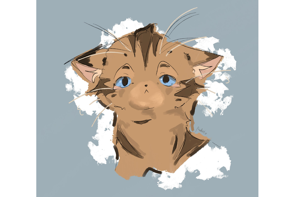 amber – Favorite Tribe cat challenge