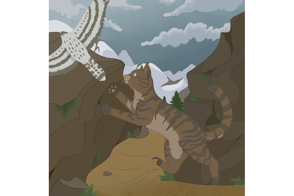 crptkng – Favorite Tribe cat challenge