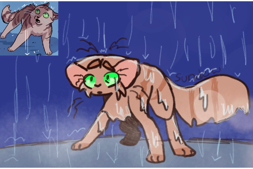 sundew – Favorite Tribe cat challenge