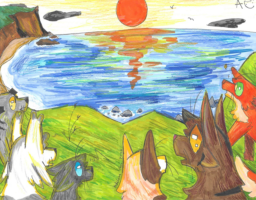 toadstool – Sun-drown-place challenge