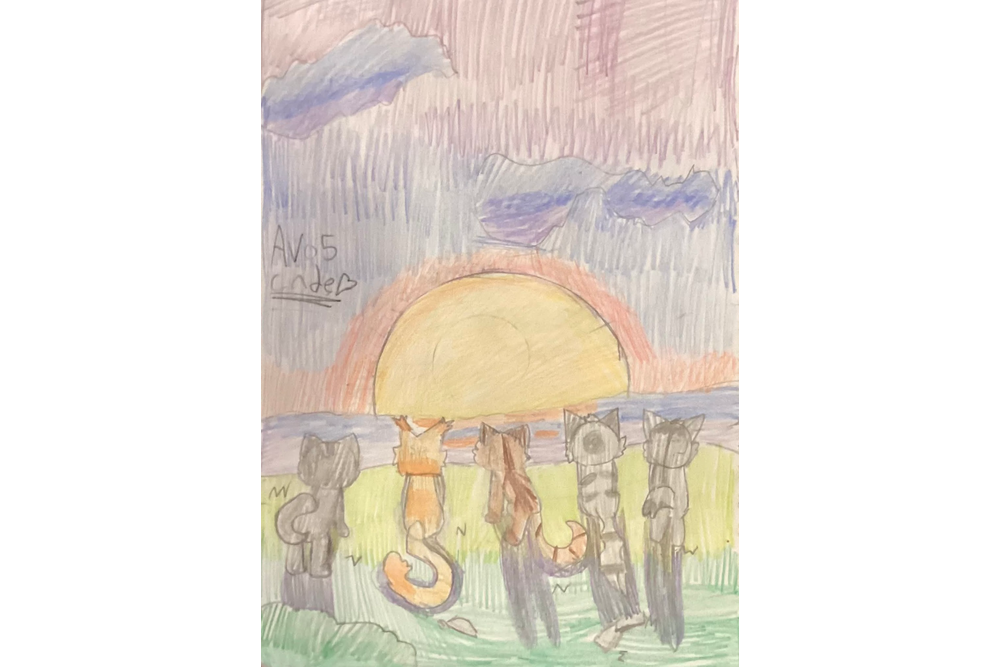 Avo5cade – Sun-drown-place challenge