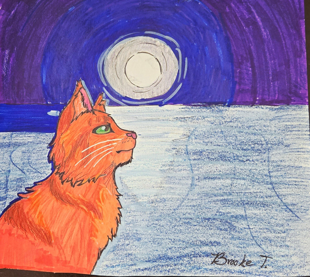 Avo5cade – Sun-drown-place challenge