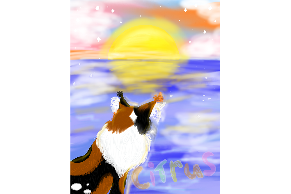 Citrus – Sun-drown-place challenge