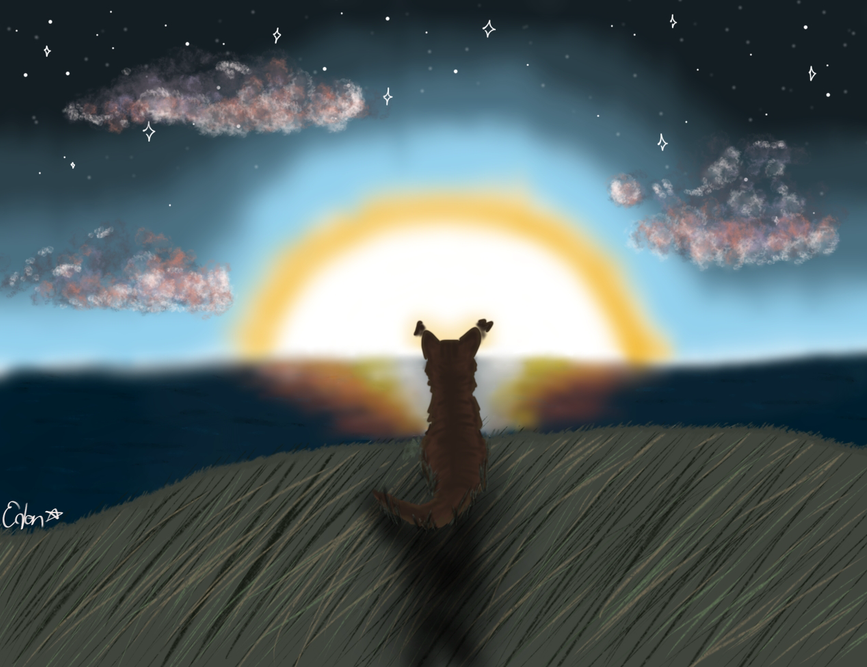 Dragon396 – Sun-drown-place challenge