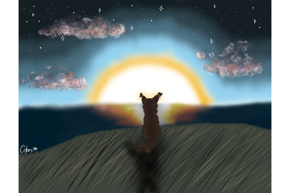 Eden – Sun-drown-place challenge
