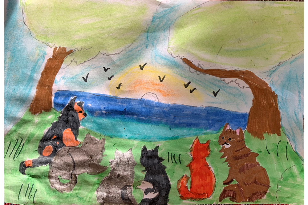 Elizabeth – Sun-drown-place challenge