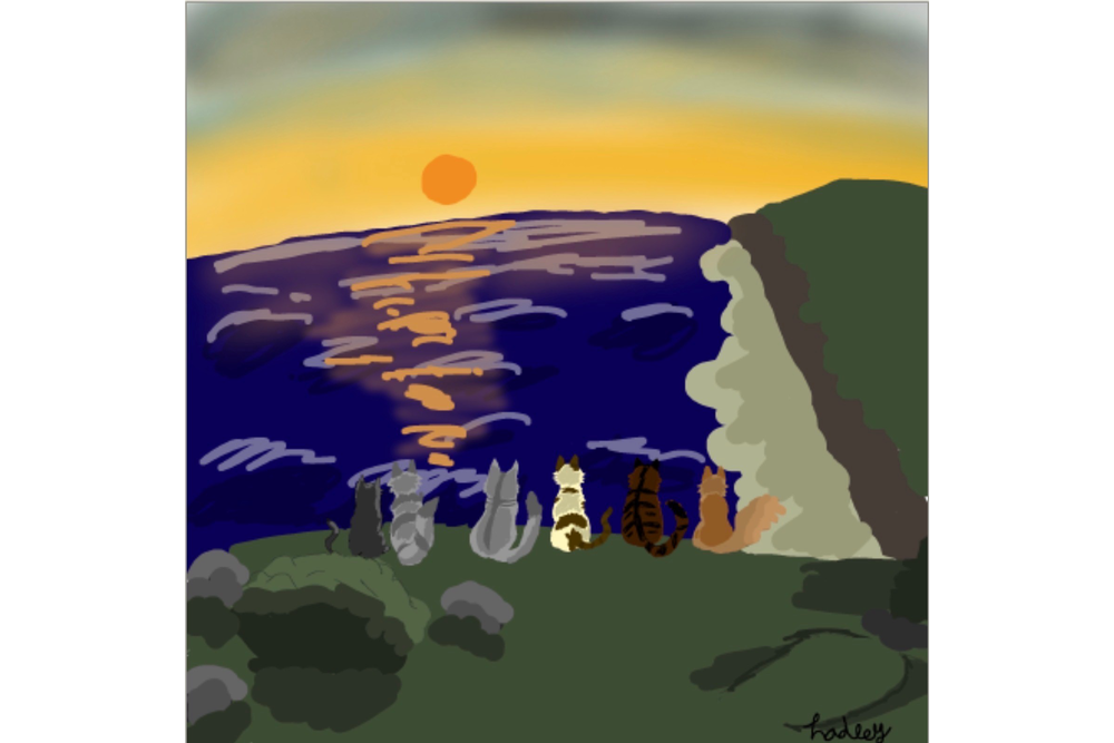 Hadley – Sun-drown-place challenge