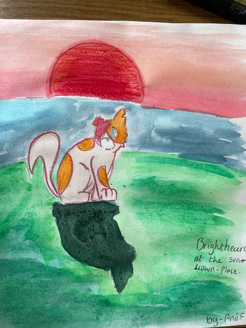 aerincat – Sun-drown-place challenge
