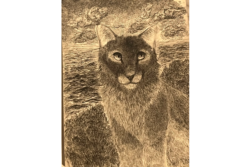 Hawktalon – Sun-drown-place challenge