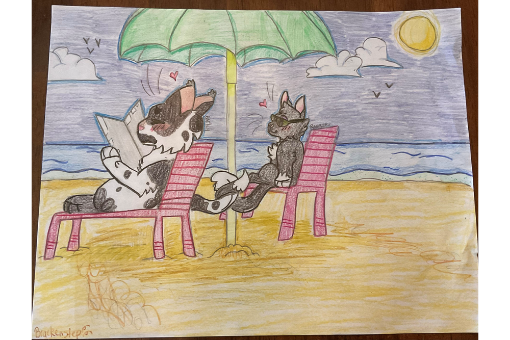 Brackenstep – Sun-drown-place challenge