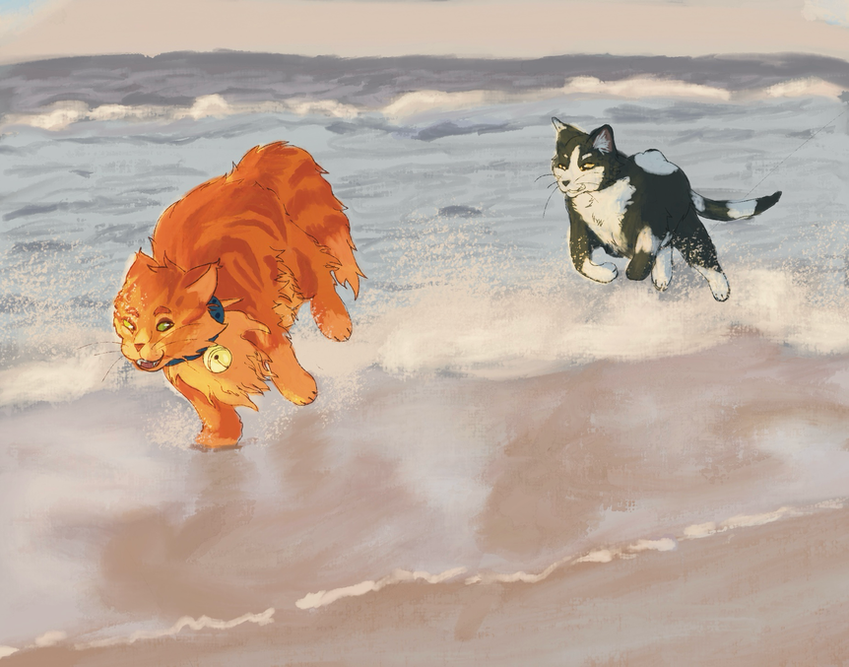Sun-drown-place challenge winners