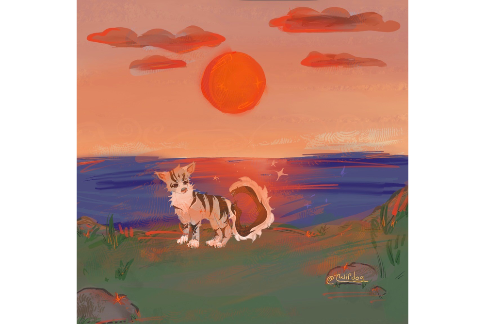 tulipdog – Sun-drown-place challenge