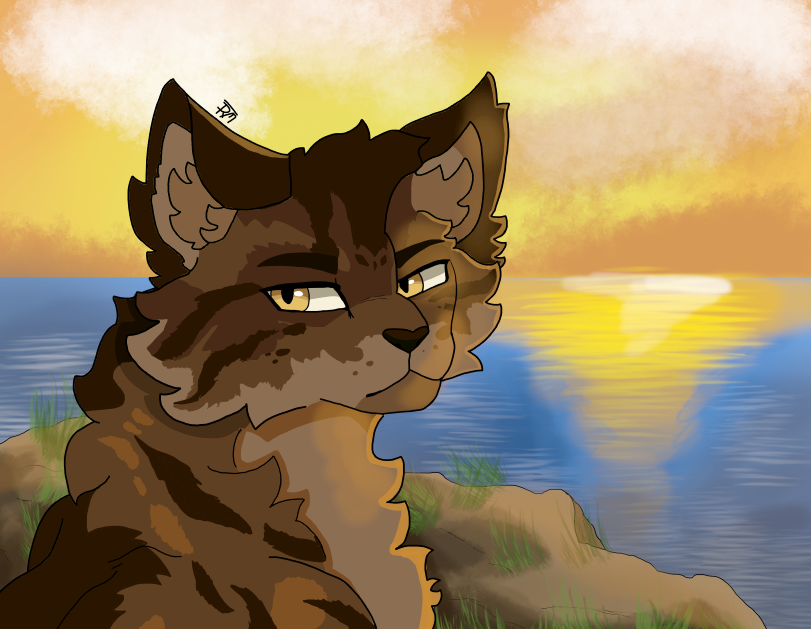braskclaw – Sun-drown-place challenge