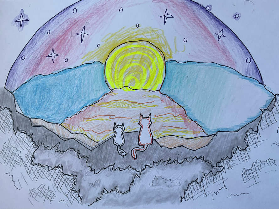The Michigan Moon cat – Sun-drown-place challenge
