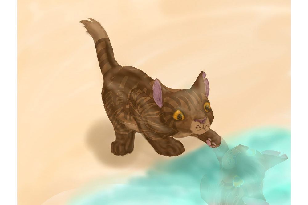 Jumpingtail – Sun-drown-place challenge