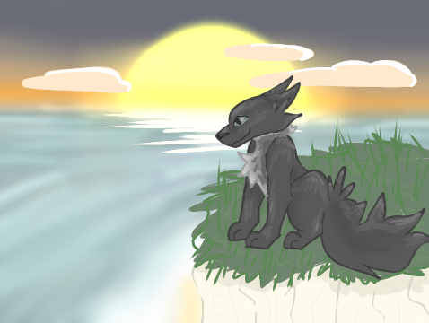 Miaumm2011 – Sun-drown-place challenge