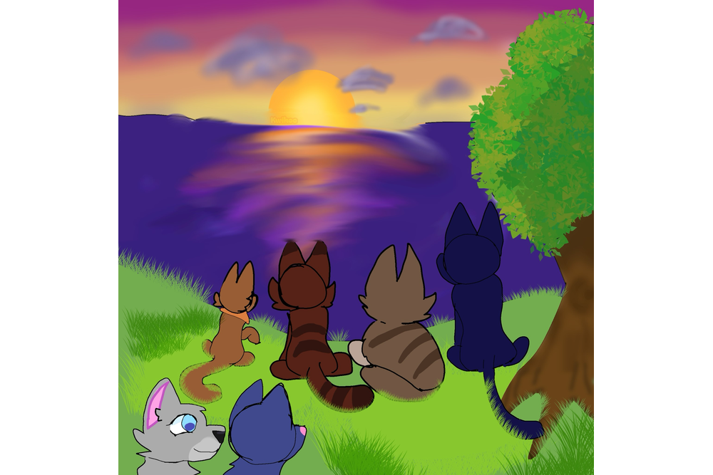 kwikoo – Sun-drown-place challenge