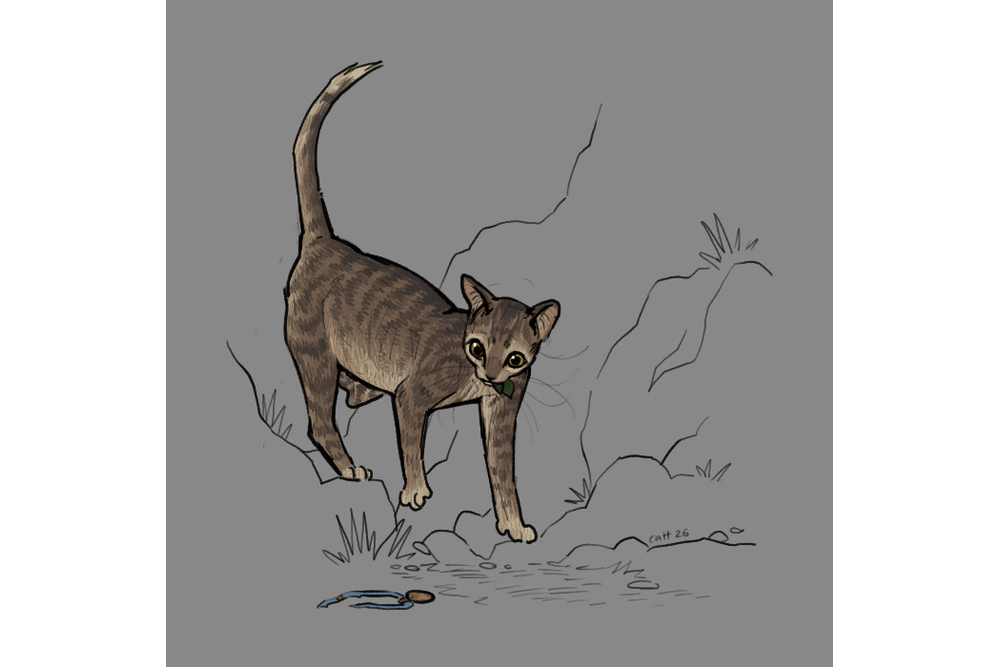 sorreltail-tumblr-3
