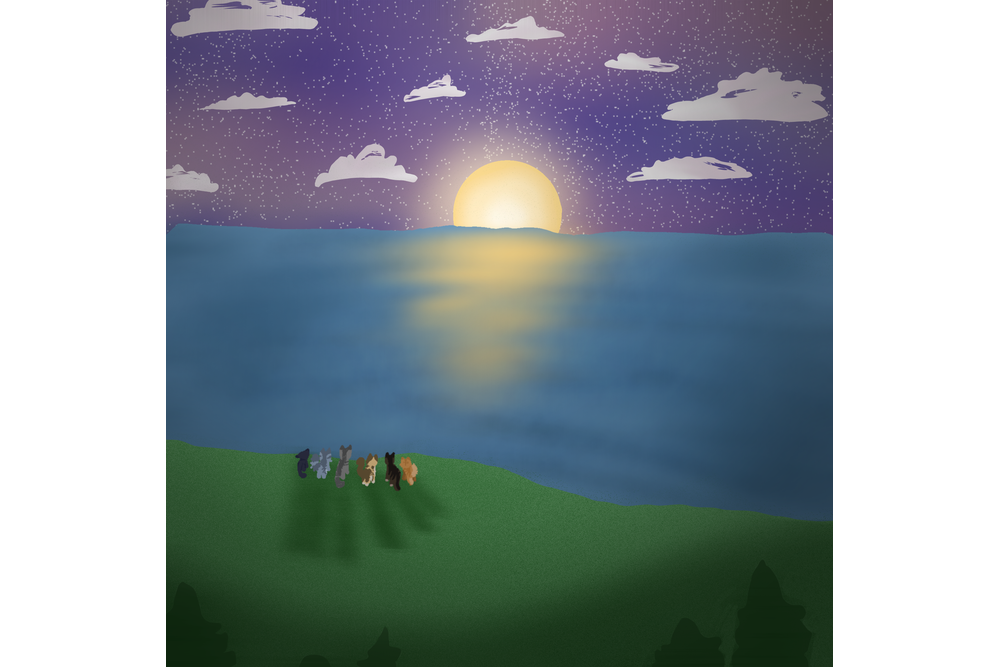 toadstool – Sun-drown-place challenge