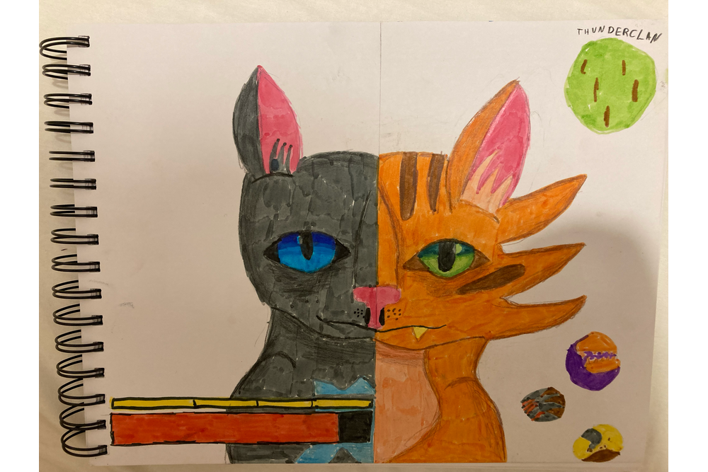 Leafpool212 – Video game challenge