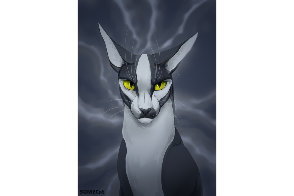somekit-deviantart
