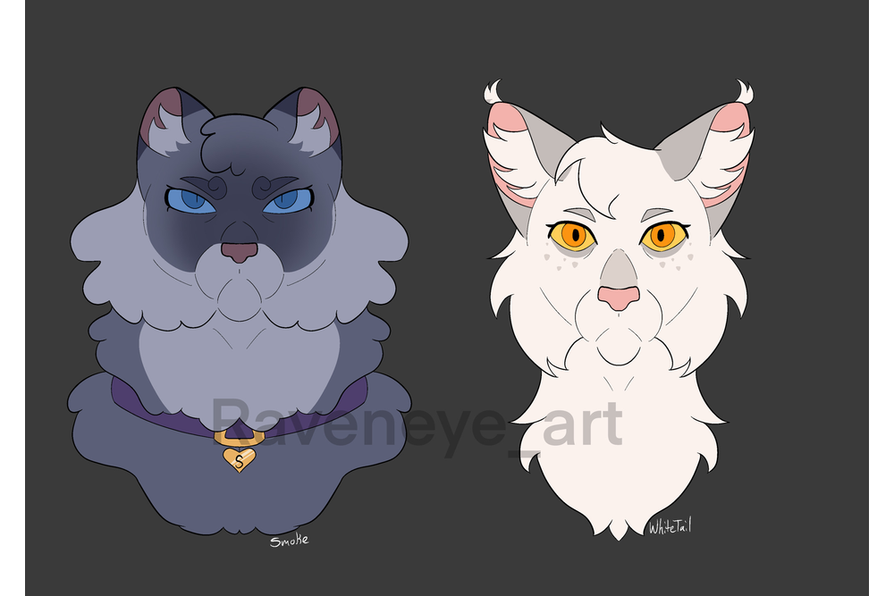 raveneyeart-tumblr
