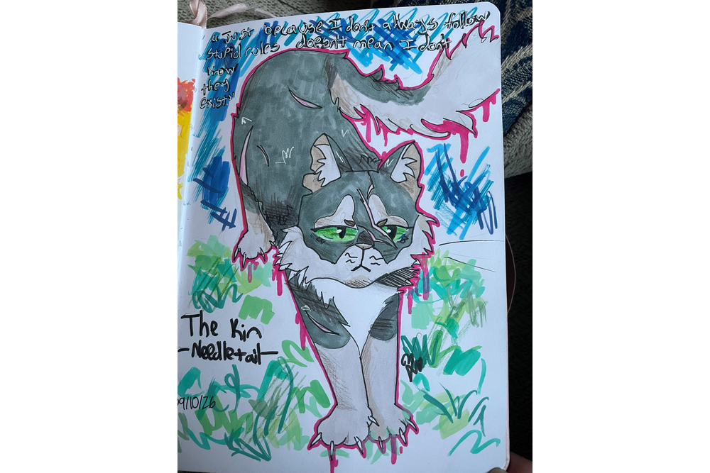 Cricketcat18 – The Kin challenge