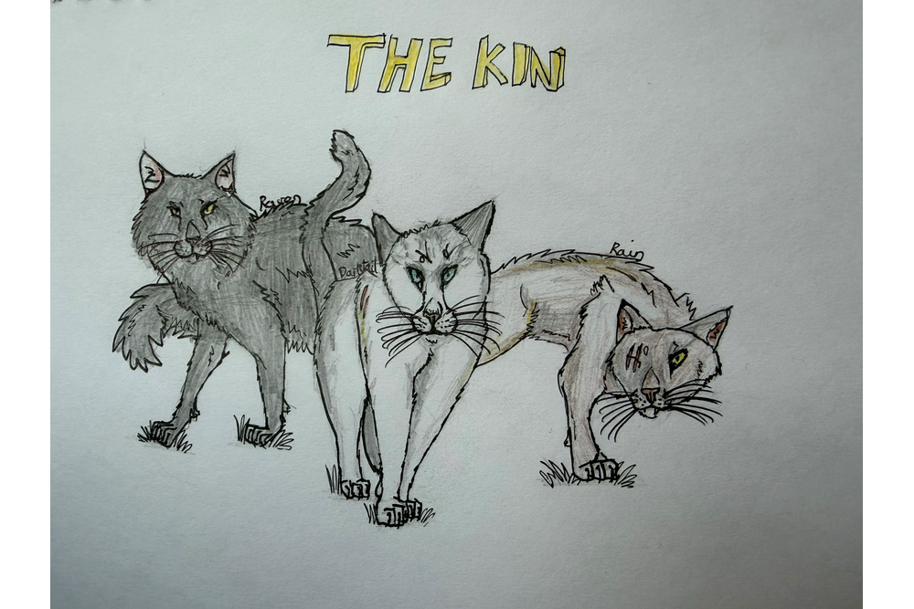 Evie – The Kin challenge