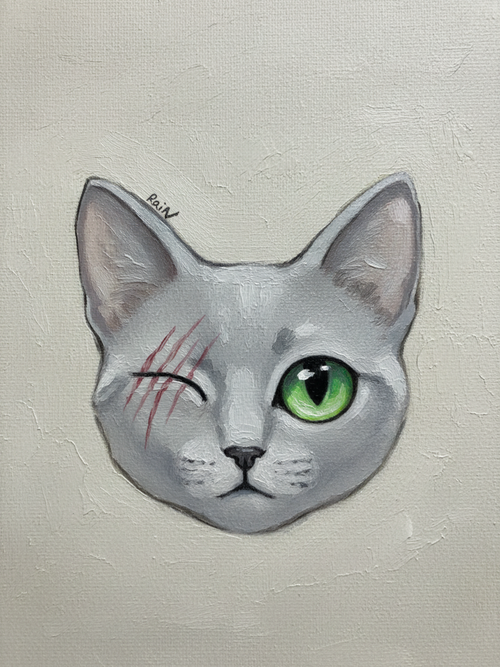Favorite Kin cat challenge winners