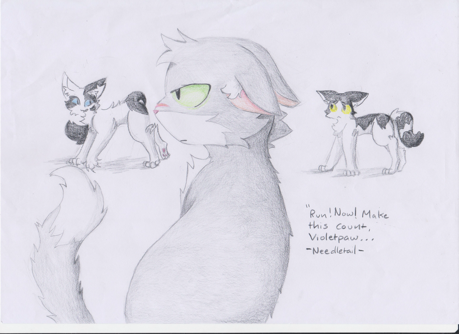 Itskitty – The Kin challenge