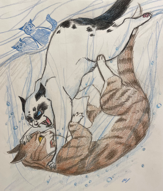Bookkitty – The Kin challenge