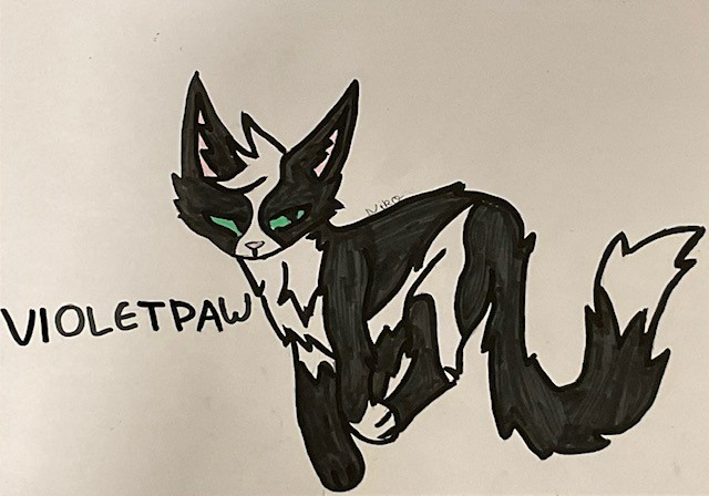 Meowwaffles – The Kin challenge