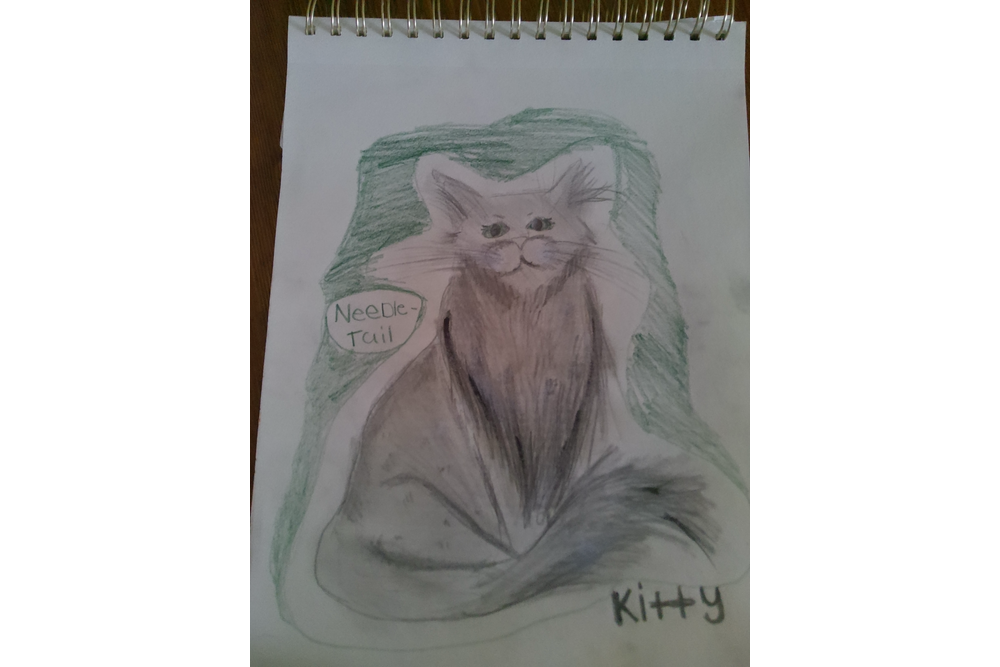 Kitty – The Kin challenge