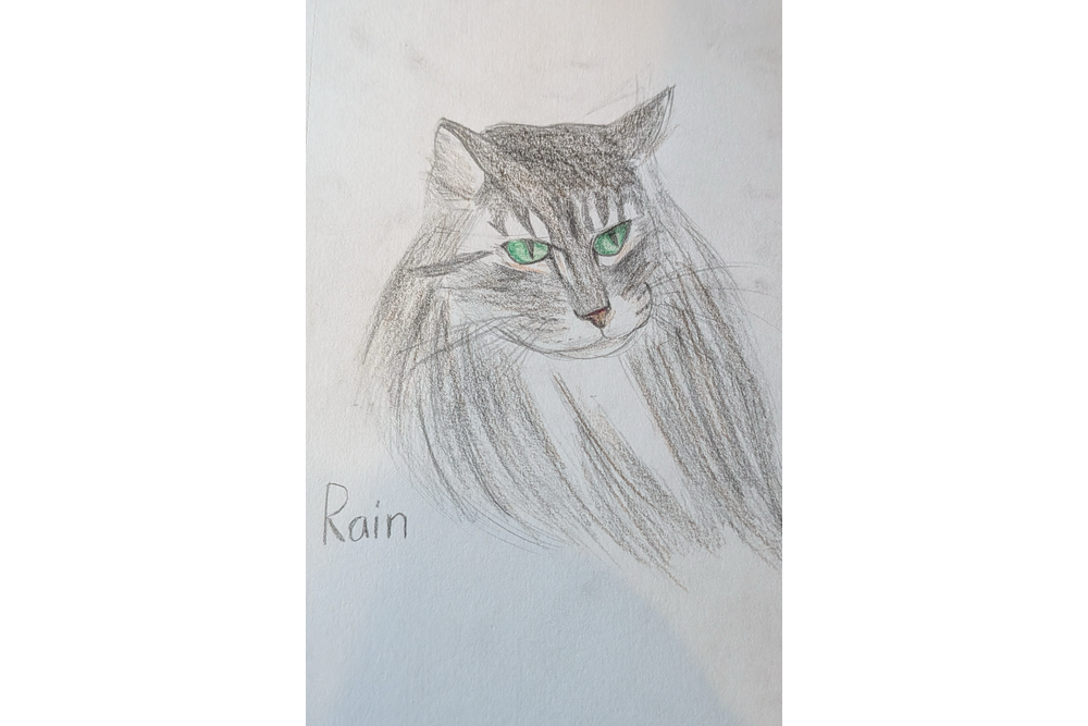 Noelle – The Kin challenge