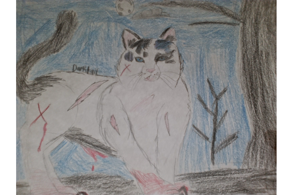 Stella – The Kin challenge